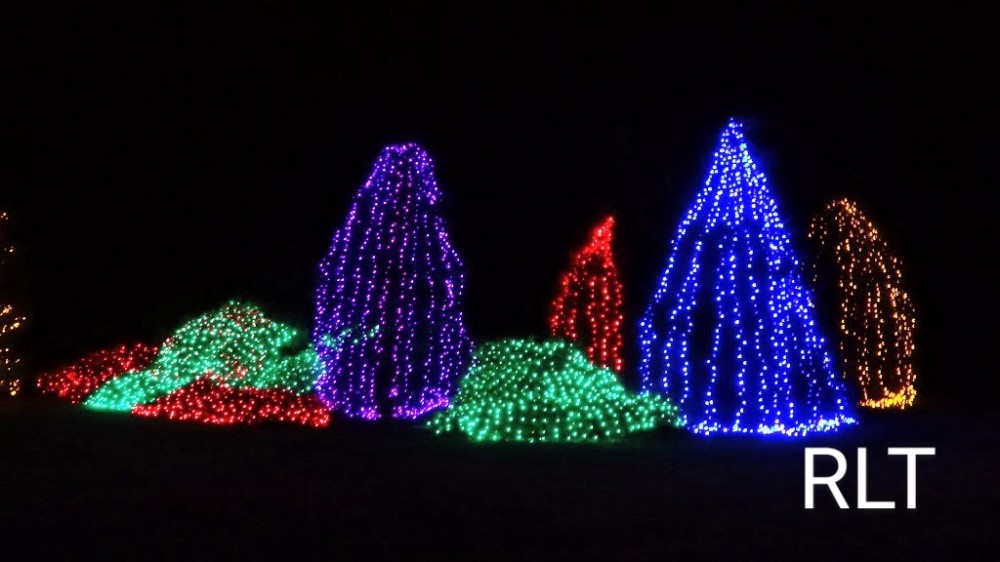Botanical Gardens Christmas Trees 1024~2